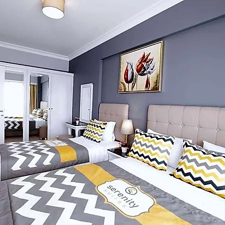 Otel Serenity Airport 4*